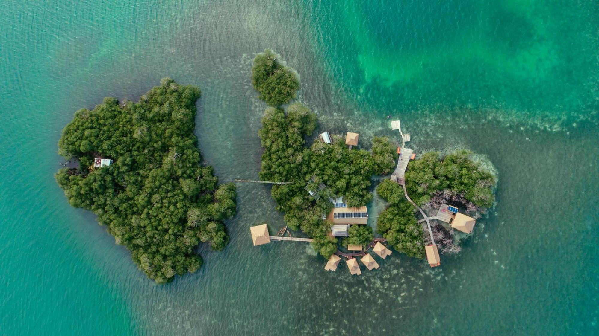 Urraca Monkey Island Eco Resort (Adults Only) Punta Laurel Exteriör bild