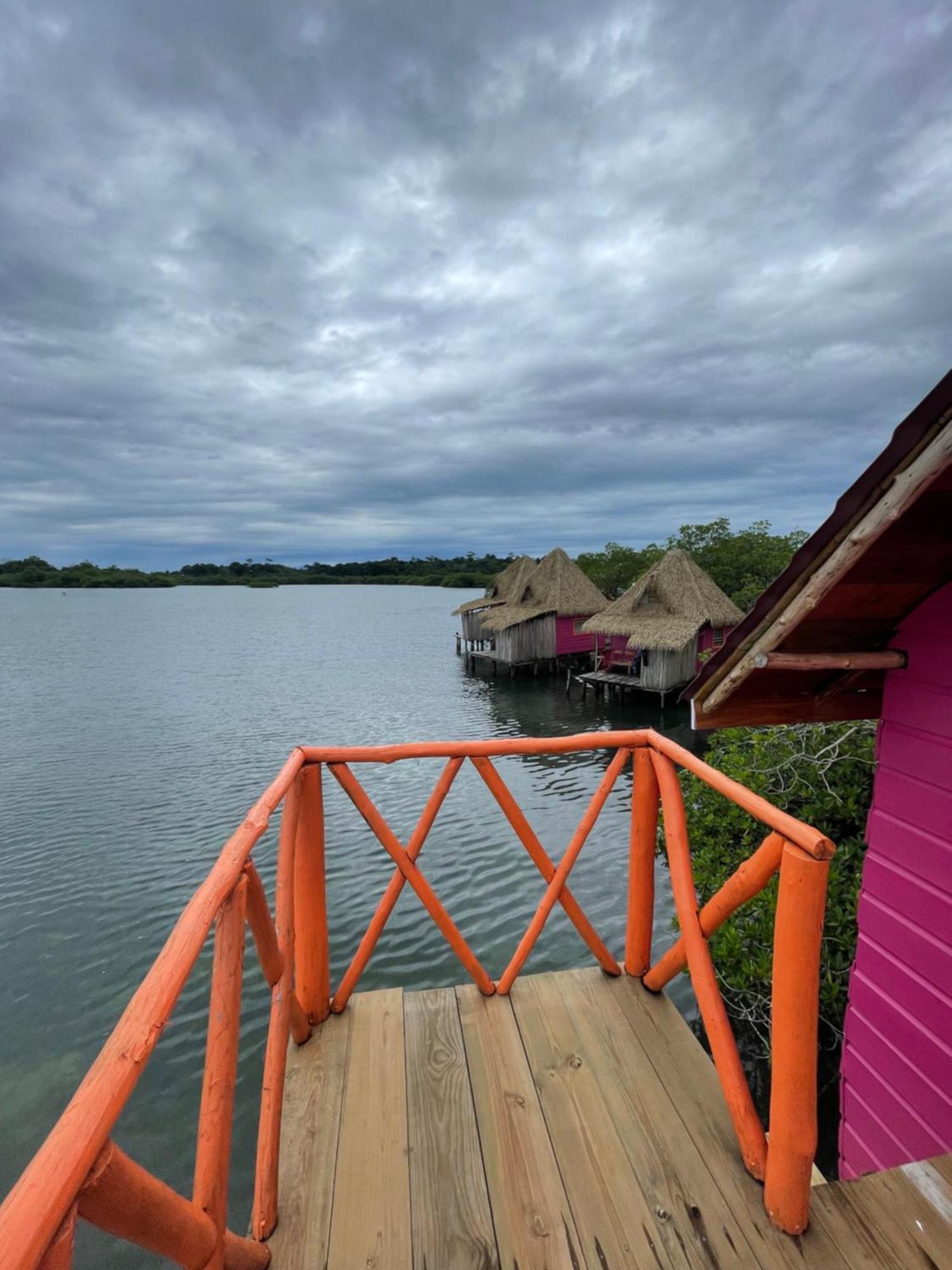 Urraca Monkey Island Eco Resort (Adults Only) Punta Laurel Exteriör bild