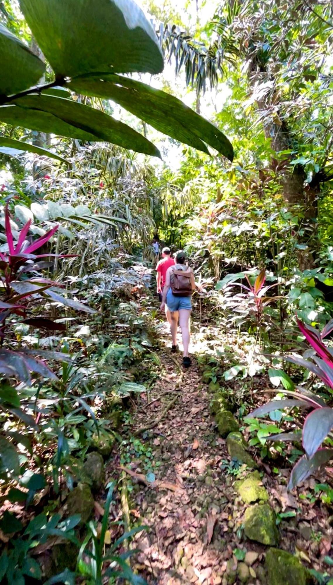 Urraca Monkey Island Eco Resort (Adults Only) Punta Laurel Exteriör bild